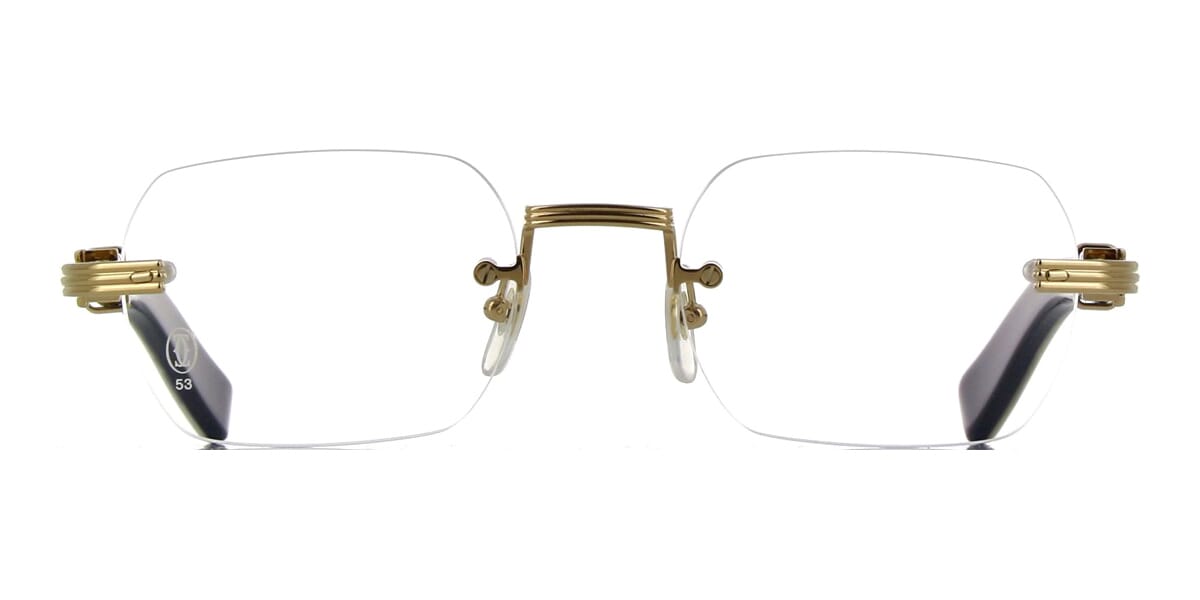 Cartier Buffalo Horn CT0377O 003