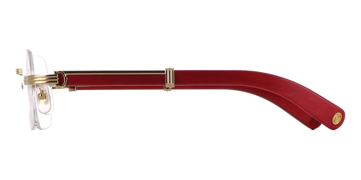 Cartier CT0377O 004