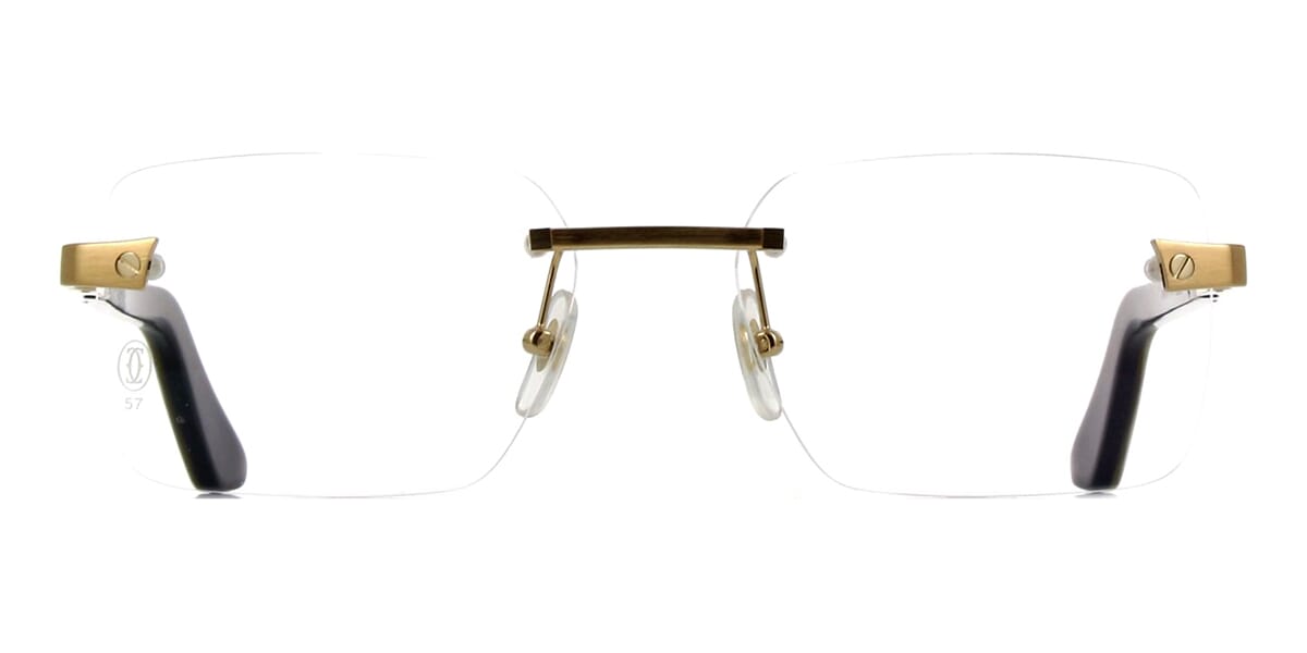 Cartier Santos Buffalo Horn CT0411O 003 4MB