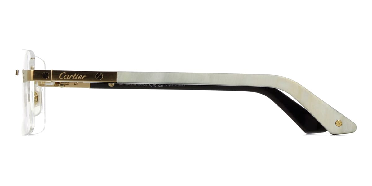 Cartier Santos Buffalo Horn CT0411O 003 4MB