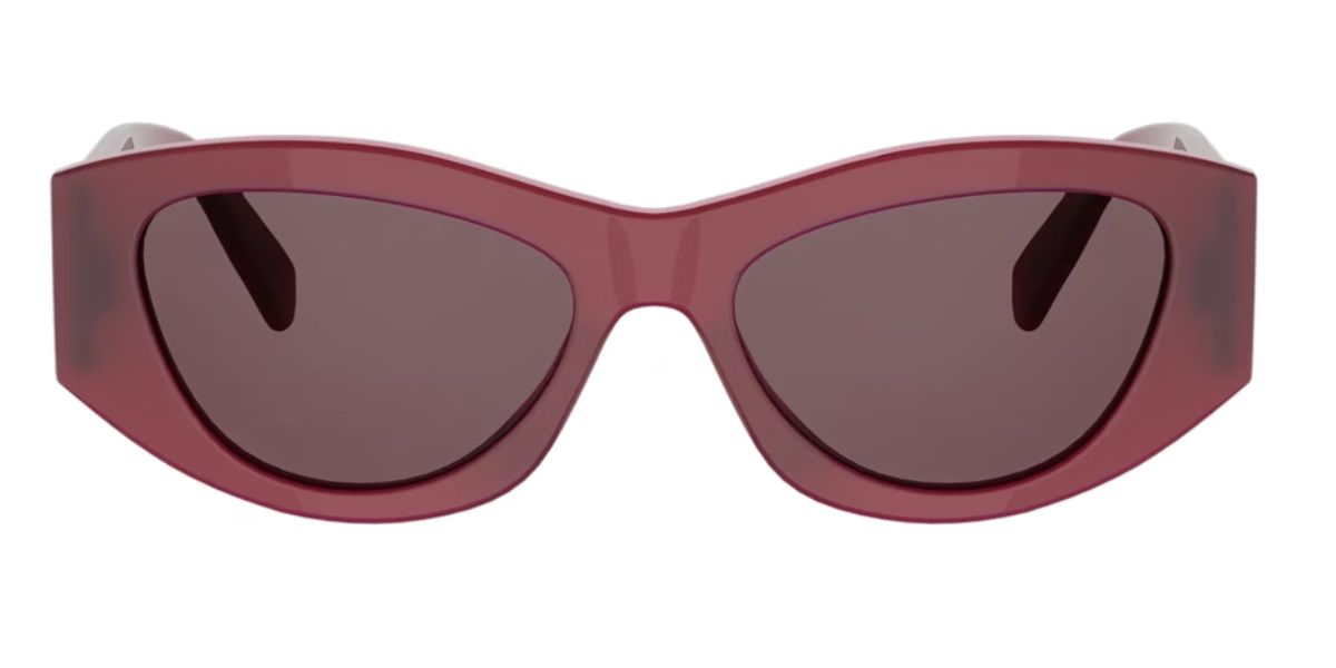 Celine Triomphe CL40308U 69E