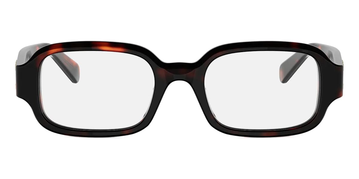CELINE Triomphe CL50173I 052