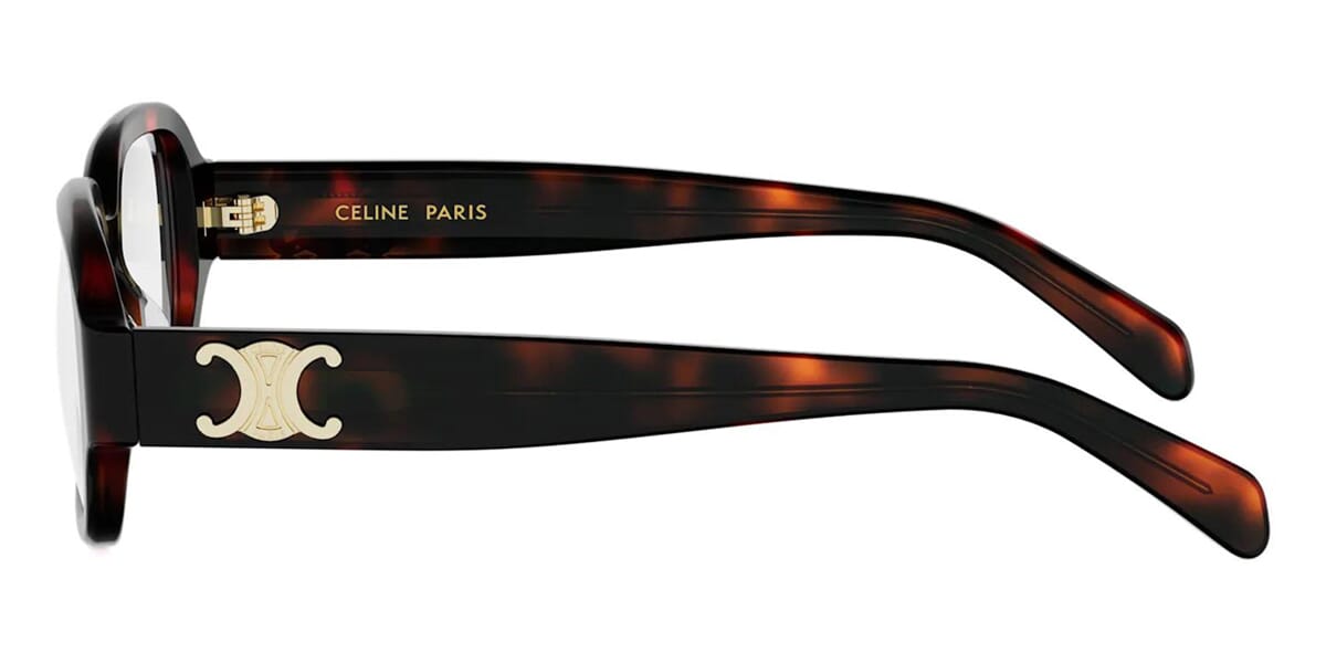CELINE Triomphe CL50173I 052