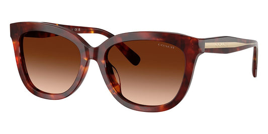Coach Cdp35 HC8453U 5938/74