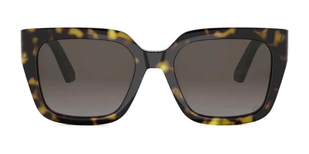 Dior 30montaigne S8U 20F1
