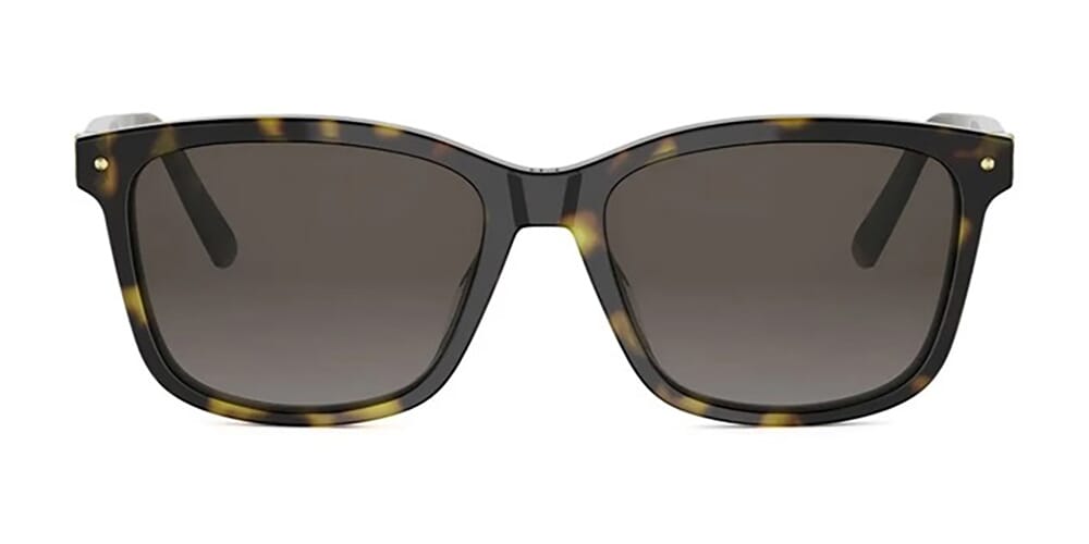 Dior Petit CD S2I 20F1