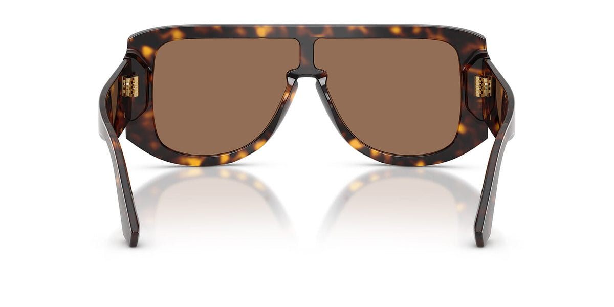 Dolce&Gabbana DG4565 502/73