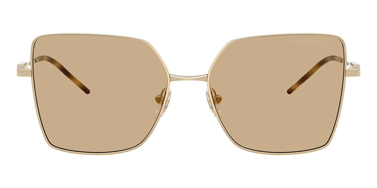 Emporio Armani EA2179 3013/73