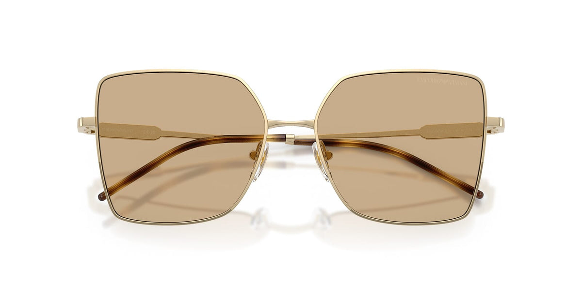 Emporio Armani EA2179 3013/73