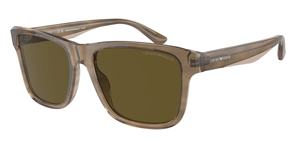 Emporio Armani EA4208 6055/73