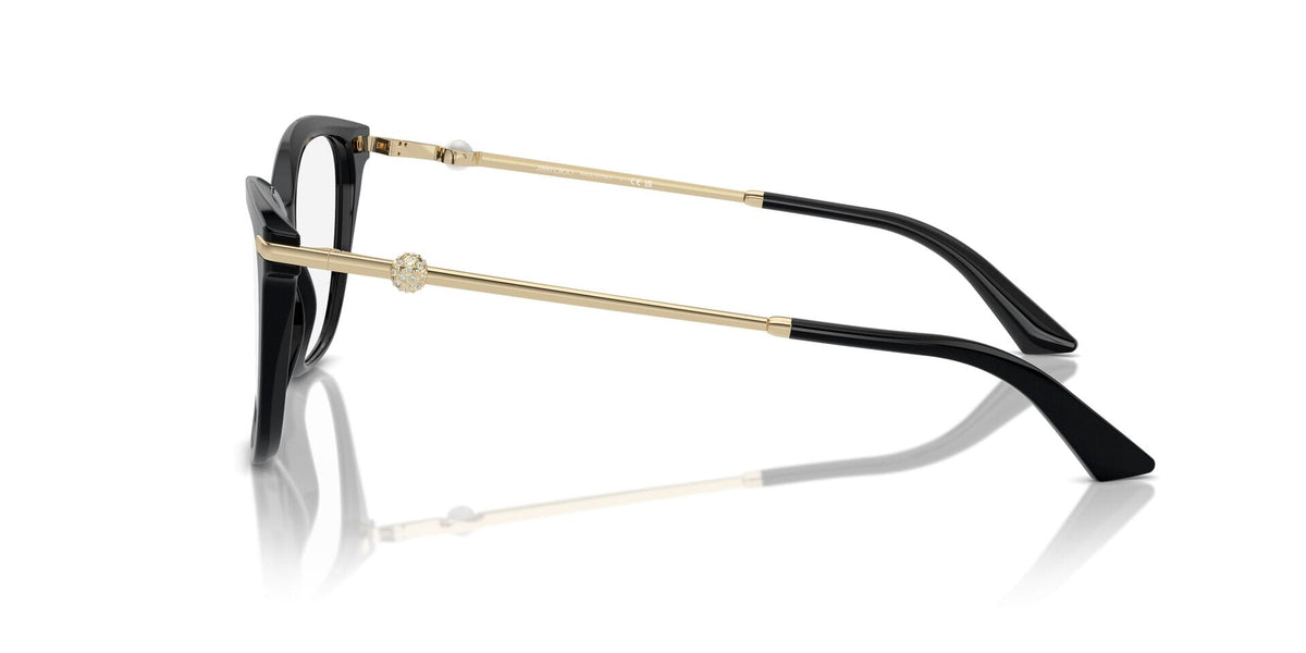 Jimmy Choo JC3007HB 5000