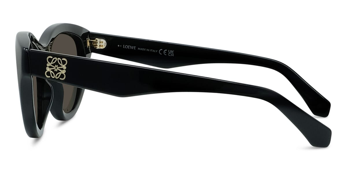 Loewe Anagram LW40182U 01E - As Seen On Chen Duling