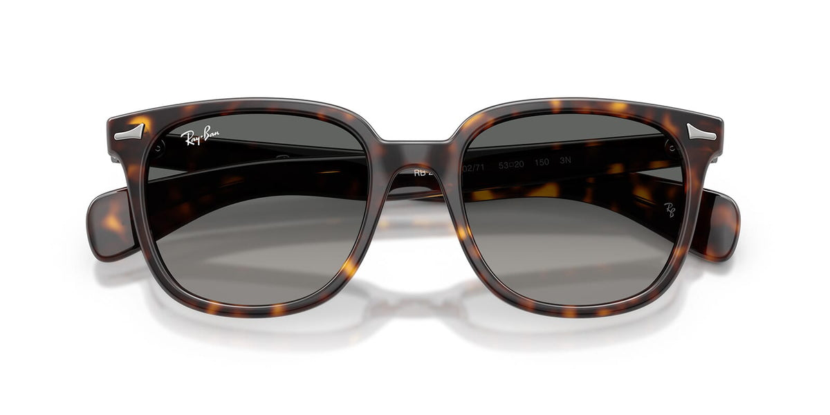 Ray-Ban Brunel II RB 2235 902/71