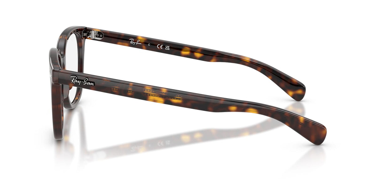 Ray-Ban Brunel II RB 5535 2012