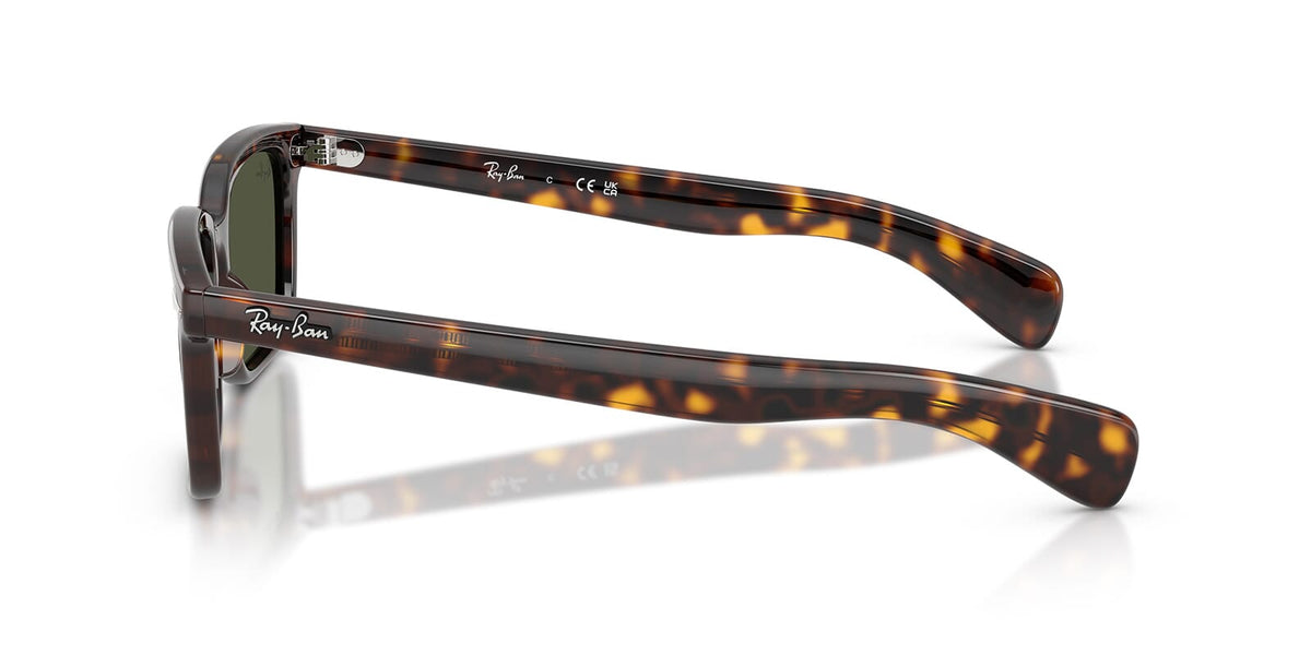 Ray-Ban Brunel RB 2234 902/31