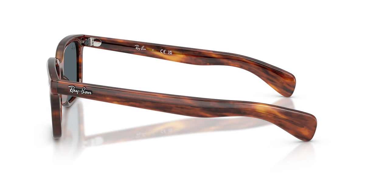 Ray-Ban Brunel RB 2234 954/R5