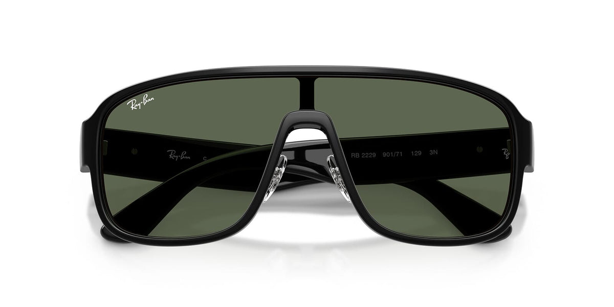 Ray-Ban RB 2229 901/71