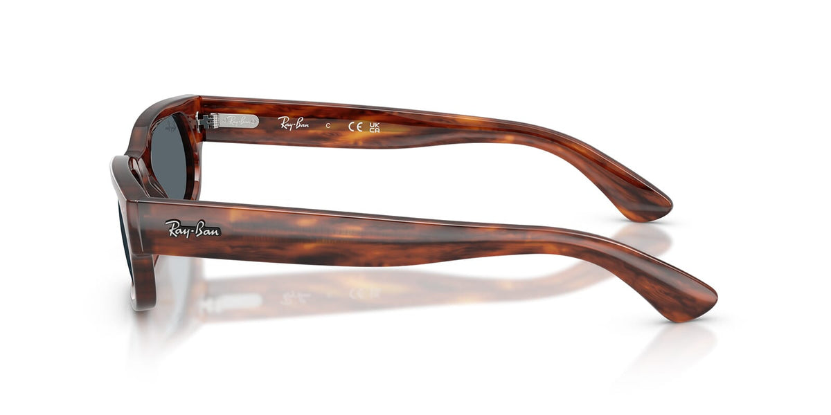Ray-Ban RB 2236 954/R5