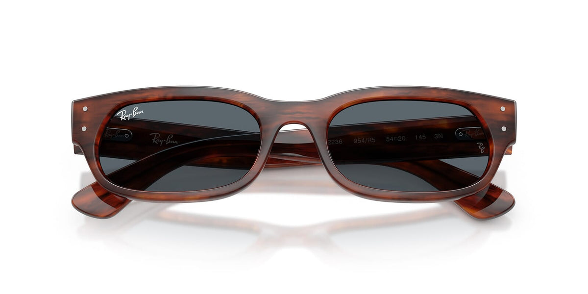 Ray-Ban RB 2236 954/R5