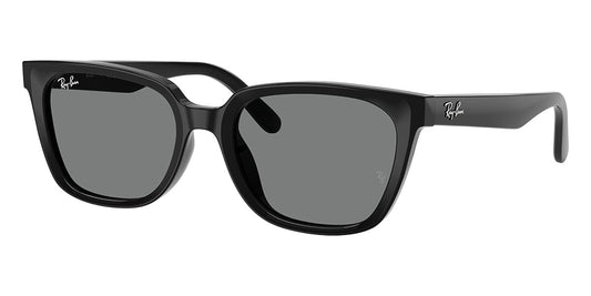 Ray-Ban RB 2243D 901/87