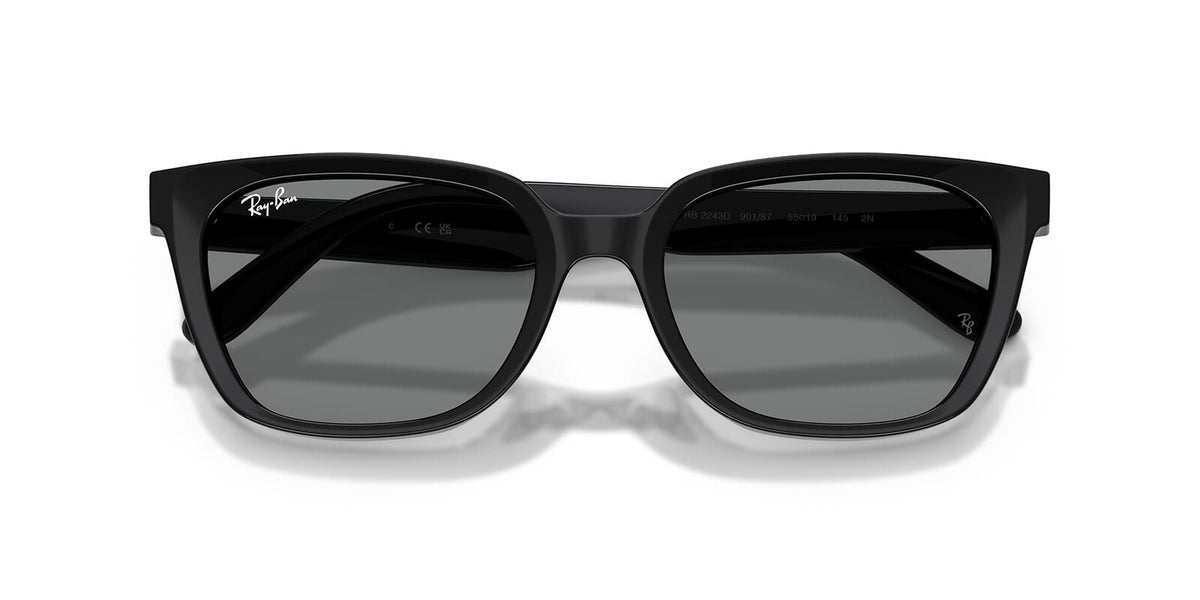 Ray-Ban RB 2243D 901/87