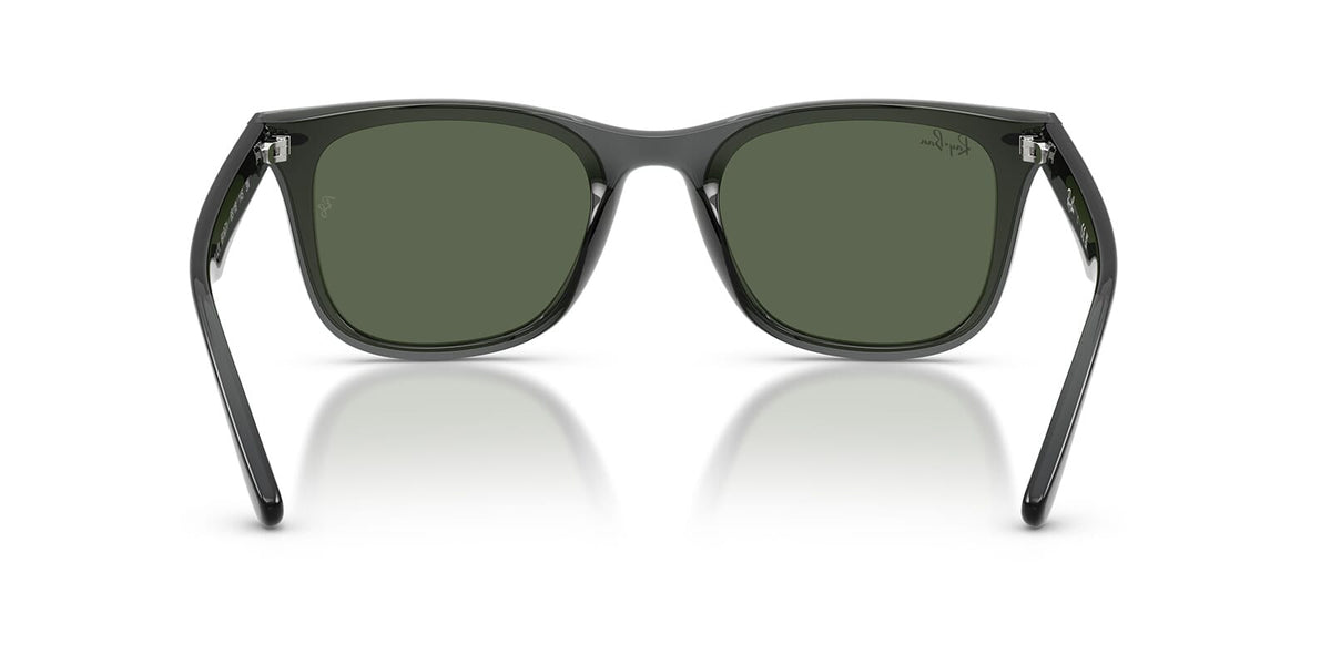 Ray-Ban RB 4420 6919/71