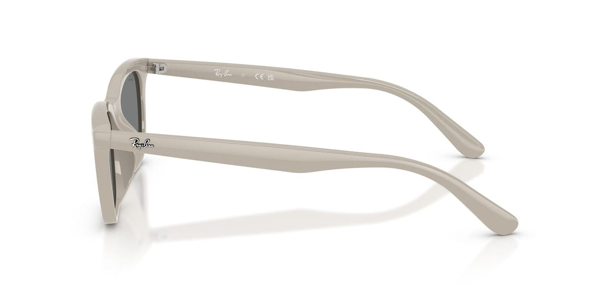 Ray-Ban RB 4474D 6858/87