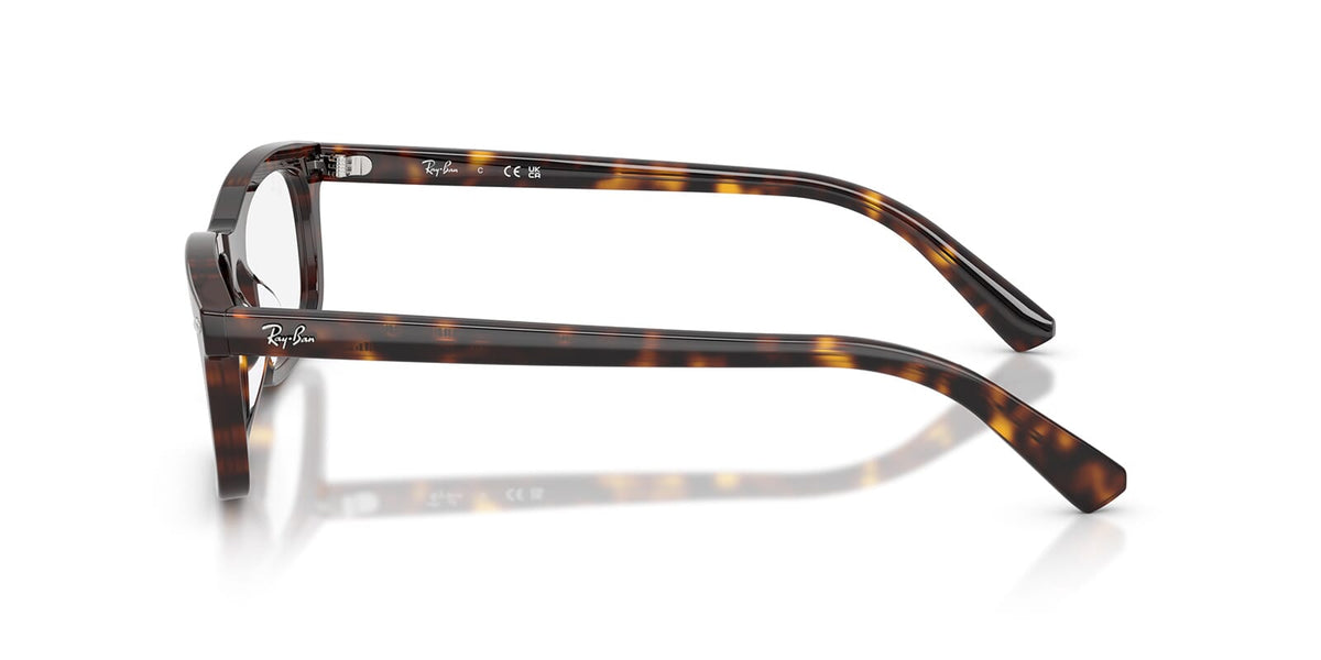 Ray-Ban RB 5450 2012
