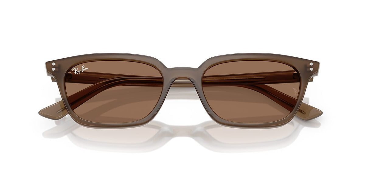 Ray-Ban Zaya RB 4456 6779/73