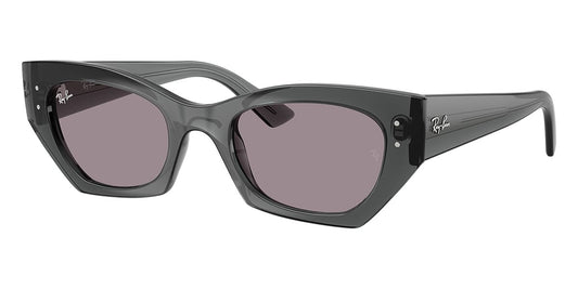 Ray-Ban Zena RB 4430 6924/1A
