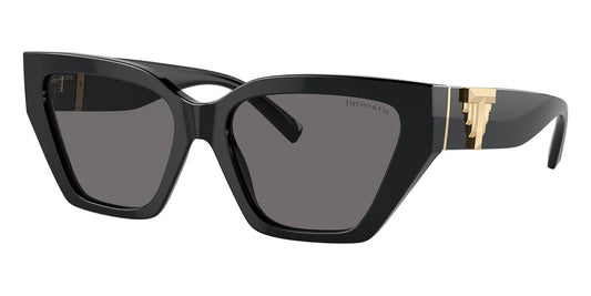 Tiffany & Co TF4218 8001/81 Polarised
